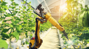 Ein Roboter Arm in einem Gewächshaus